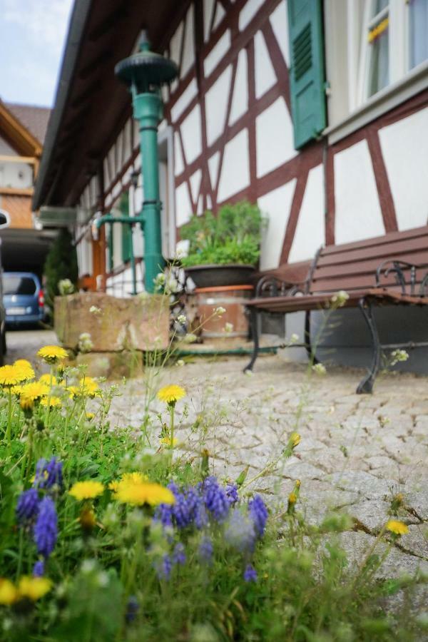 Apartment Kirschbluete Appenweier Luaran gambar